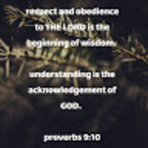 ravowekrimpej avatar