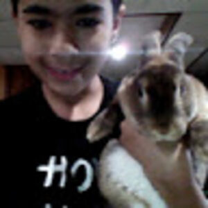 rashidalbudhaideh avatar