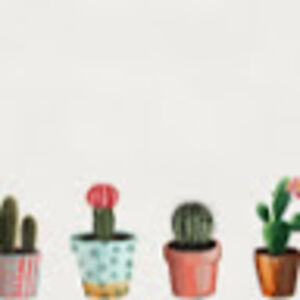 bellaturland_1 avatar