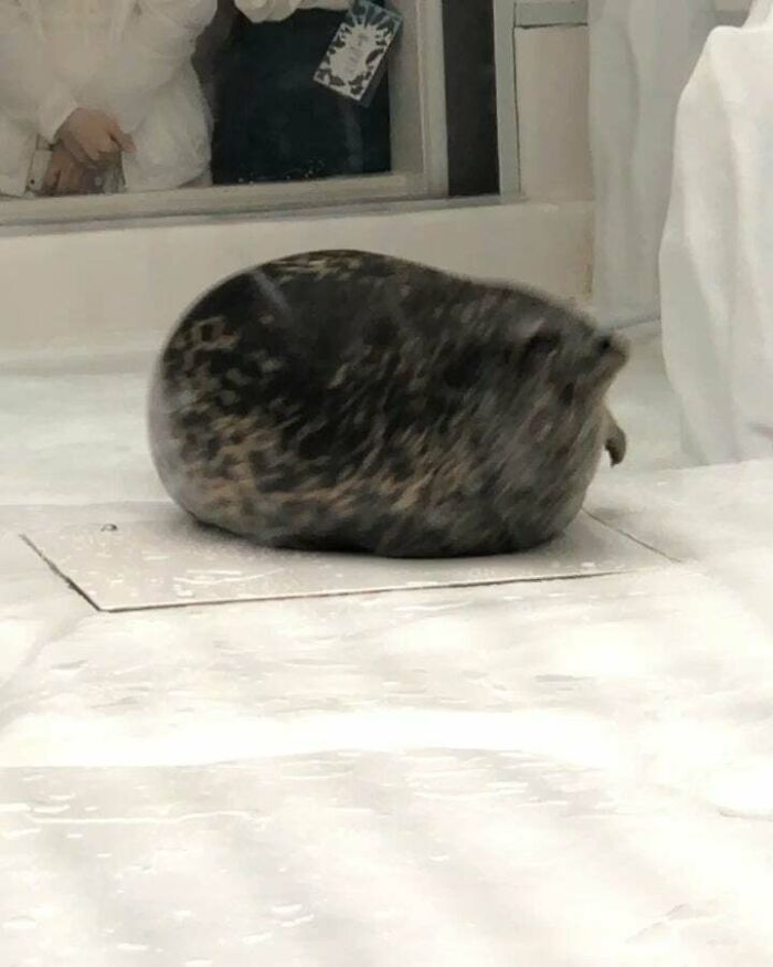 Feeling Blessed To Have Witnessed This Unit In Action