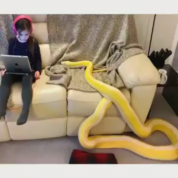 Snek Wants Pets