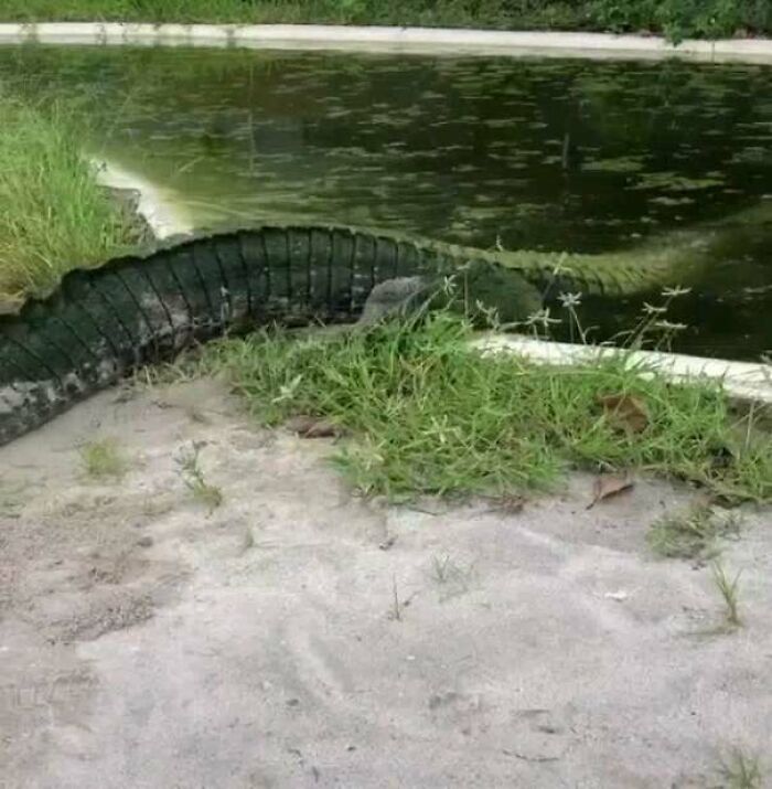 It's Ok, We All Have Bad Days.