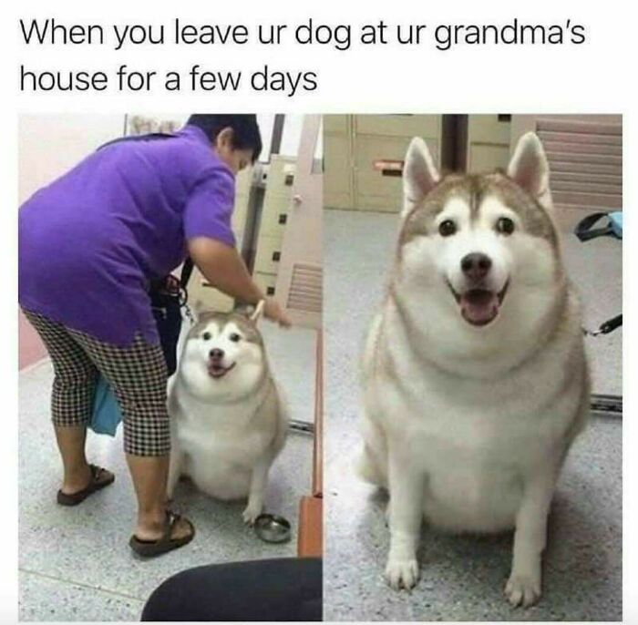 Grandma Is The Absolute Unitifier