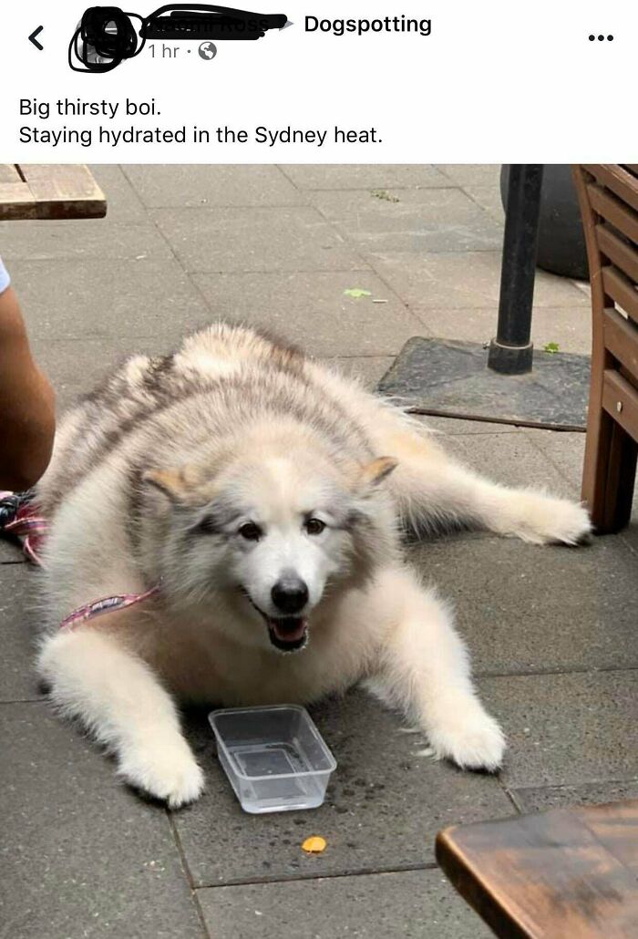 Big Ole Boy Found On Facebook