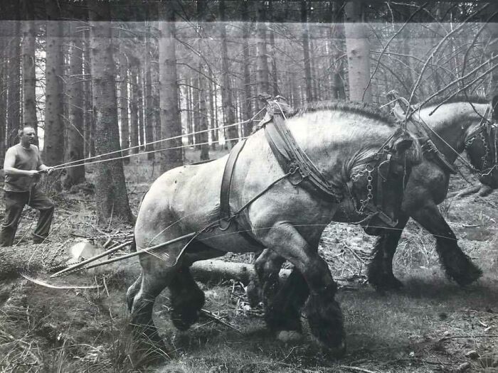 The Original Units That Made “Horsepower” A Unit Of Measurement