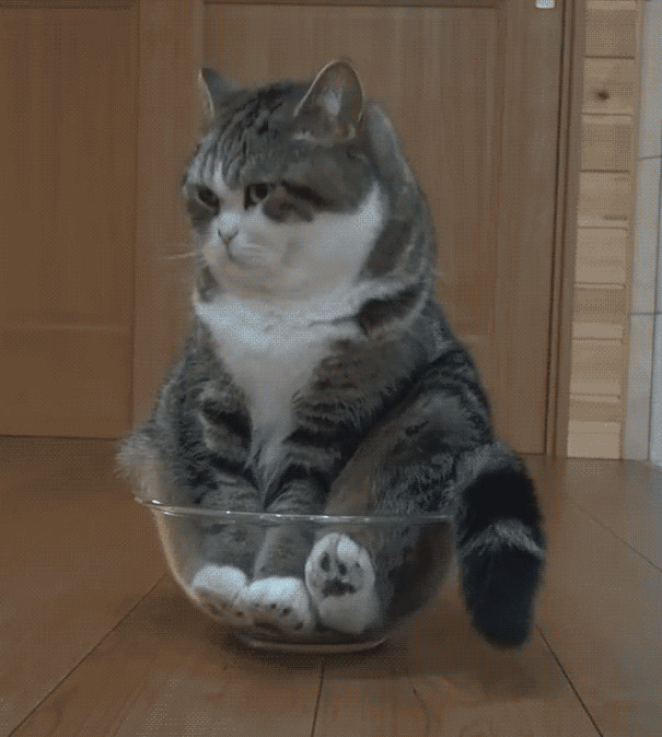 Bowl Full Of Cinnamon Toast Chonk ™