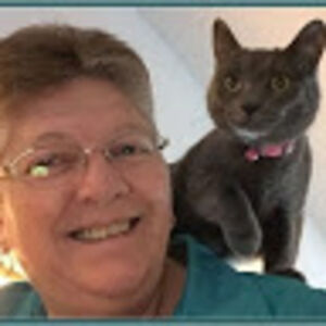 elizabethrobert avatar