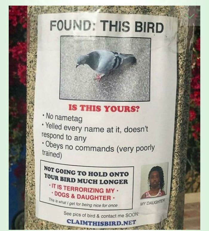 Especially , Read The Box!