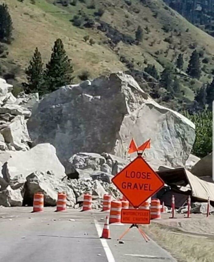 Understatement Of The Year