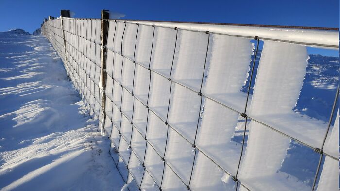 When Constant Winds And Ice Meet A Fence