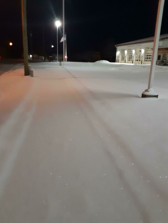 This Just Fallen Snow In Michigan