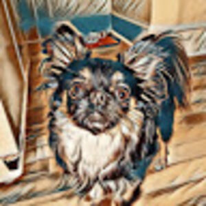 devendraherriott avatar