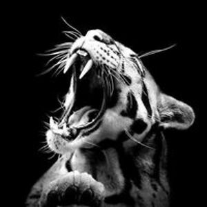 jeanne_lesbordes avatar