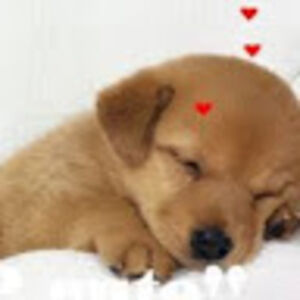 makaylatrager avatar