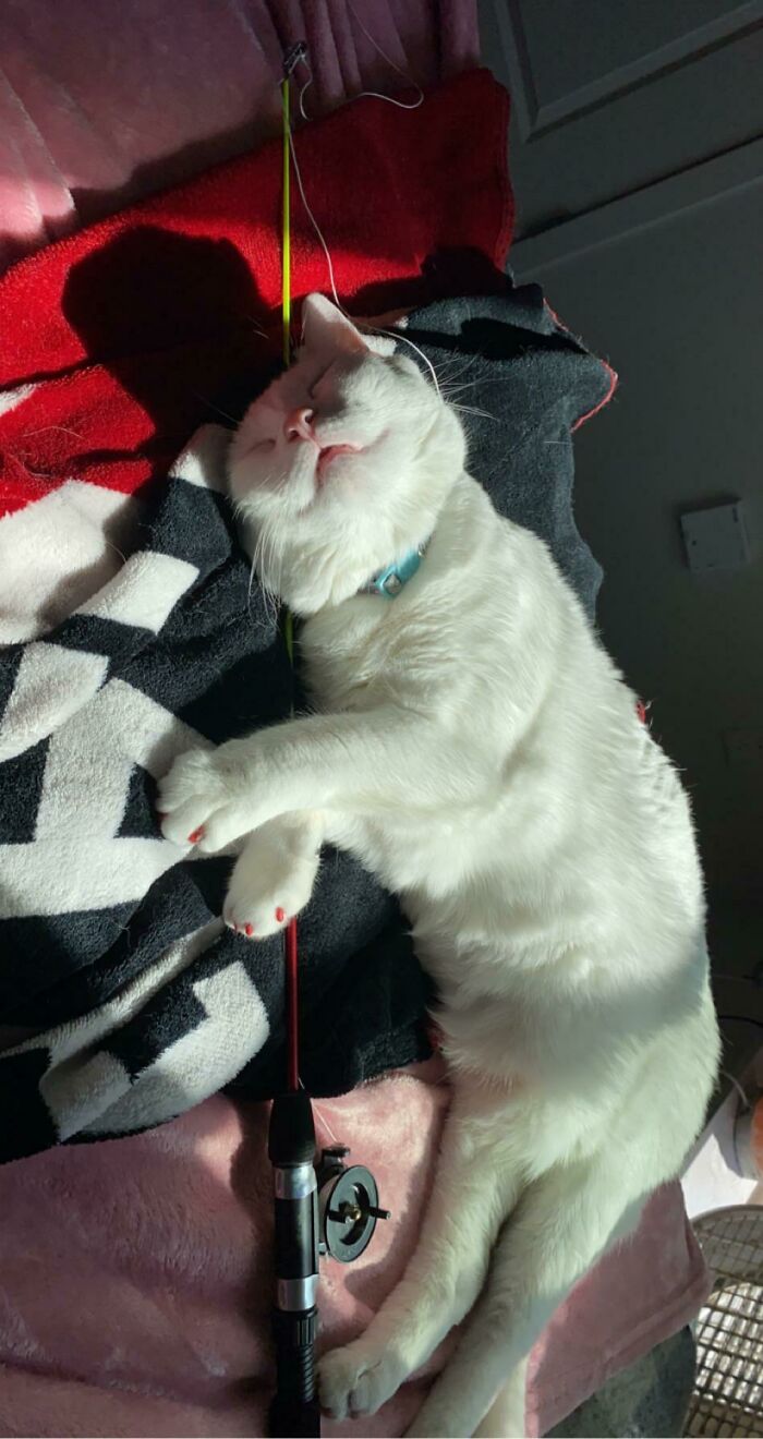 Sleepy Boy Cuddling His Favorite Toy