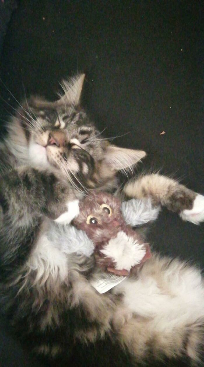 Sleeping With His Favorite Toy