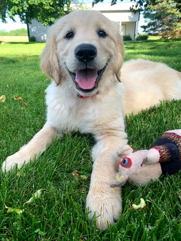 Baby Ruthie And Her Favorite Toy