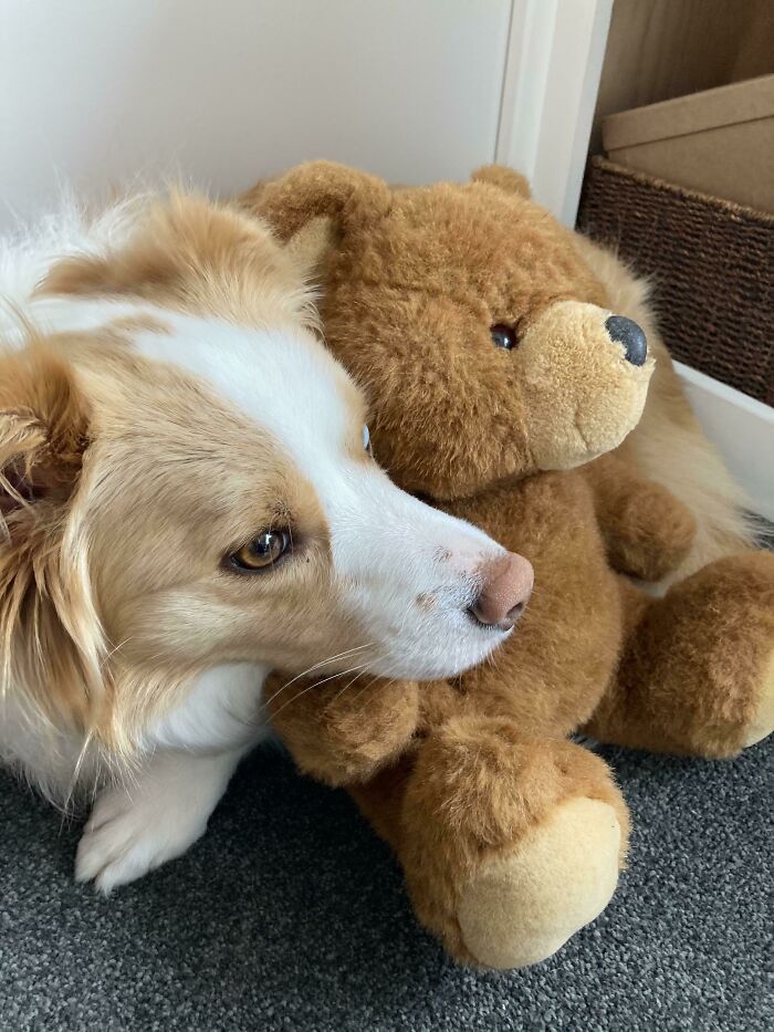 After Instantaneously Destuffing Hundreds Of Toys She’s Finally Found One She Loves