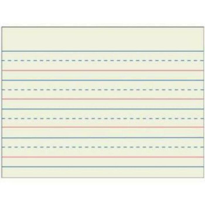 Elementary School Paper