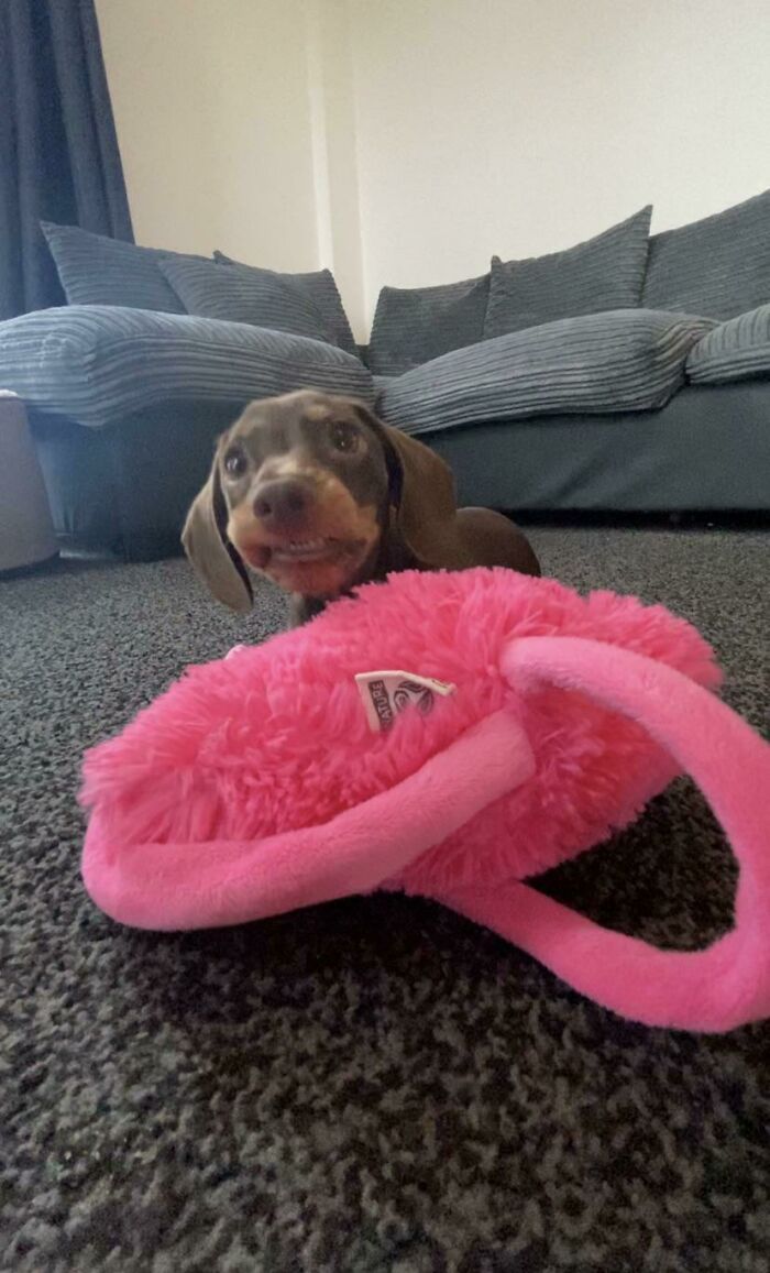 Let Me Take A Photo Of You And Your New Toy... Say Cheeseeee