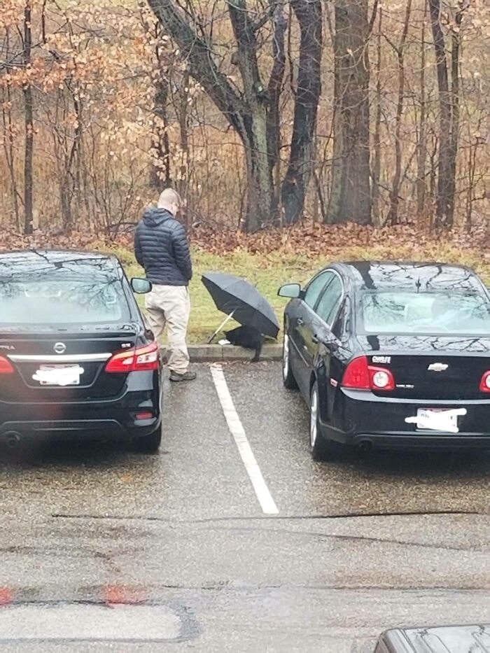 This Gem Of A Human Feeding The Stray Cat At My Apartment Complex And Giving Him An Umbrella Since It's Raining