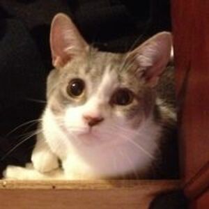 kimberly_blizzard_blizzard avatar