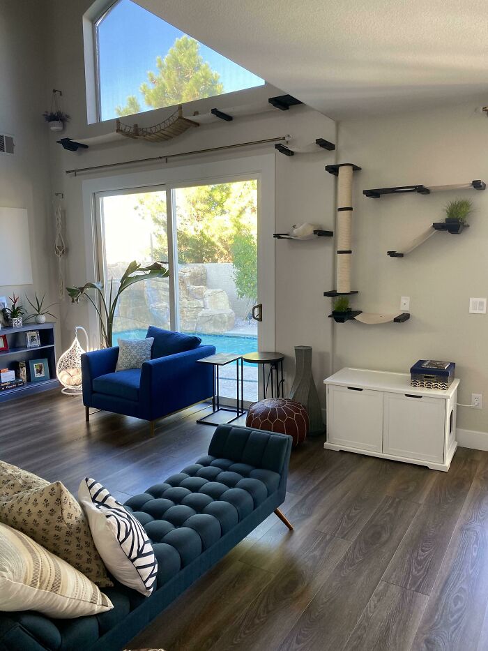 I Added A Cat Walk To My Living Room For My 3 Floofs