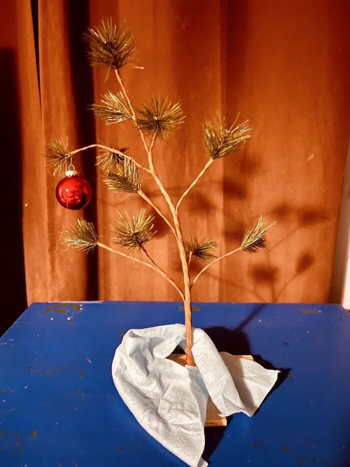 After Sitting In The Closet 15+ Years It’s Finally The Perfect Year For This Tree