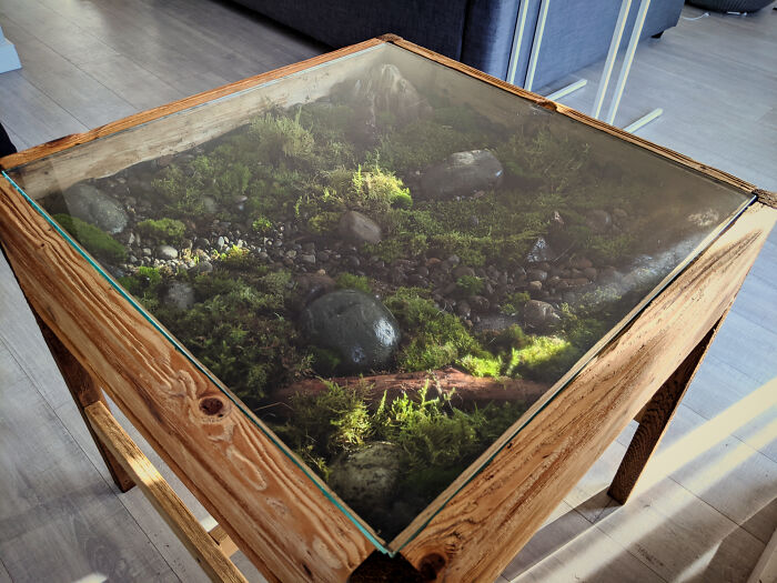 Moss Garden Coffee Table