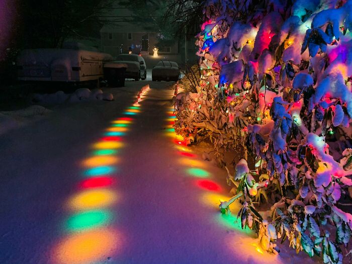 Buried Christmas Lights