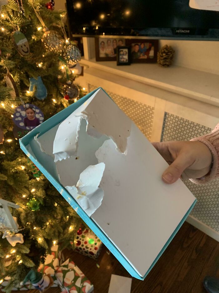 Apparently One Of Our Present From Family Was A Box Of Fudge. Dogs Figured It Out And Now There Is Puke All Over My House