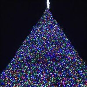 renee_bindernagel avatar