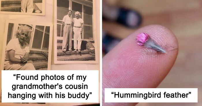 50 Times People Found The Most Unexpected Things