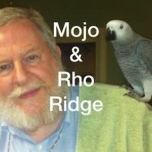 fratkinjonathan047 avatar