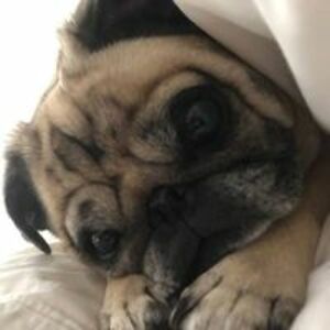 marshall_drez avatar