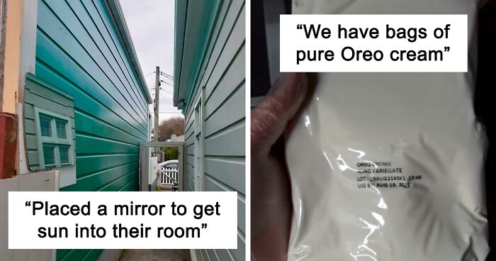 This Online Group Is Dedicated To “Mildly Interesting” Stuff, And Here Are Their 50 Best Posts