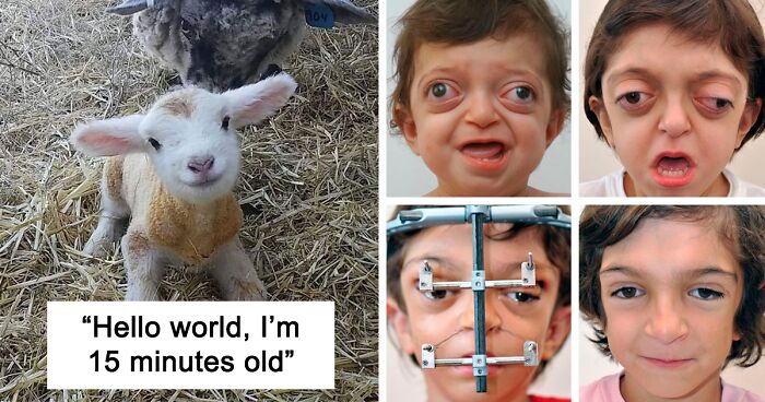 If You’re Feeling Down, These 50 Wholesome Pics Might Lift You Up