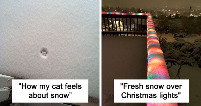 50 Times People Got So Satisfied Looking At Snow, They Just had To Document It