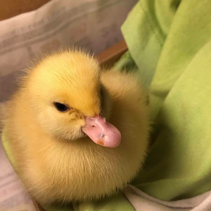 Say Hi To My Newly Adopted Buddy, Didi! Have A Great Weekend Everyone!