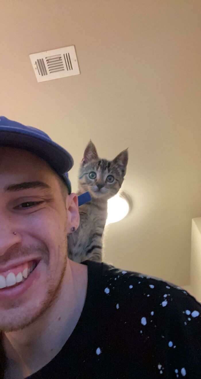 Went To The Shelter To Look At Dogs, They Didn’t Have Any There But Once This Lil Girl Saw Me She Started Pawing At Her Cage. Now I Have A New Forever Friend