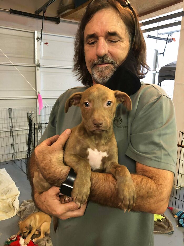 This Is Bella. First Dog I Have Had In 20 Years