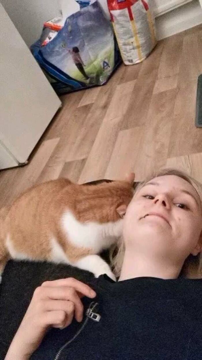 His Previous Owner Put Him Up For Adoption Because He Is So "Rude". This Is Him On His Second Day With Me