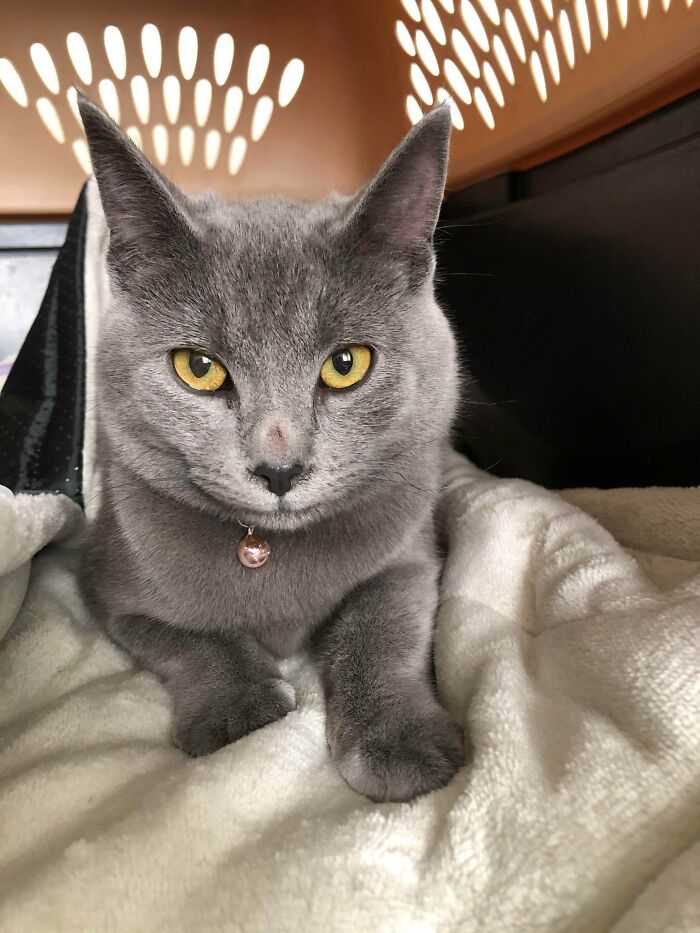 I Adopted This Beautiful Girl Today!