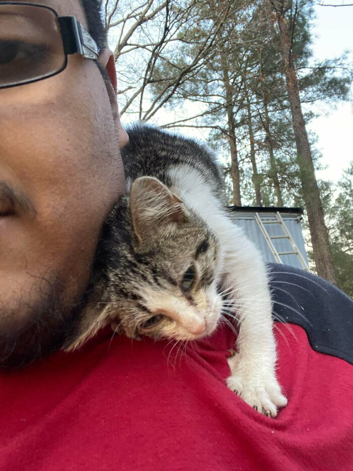 After 3 Long Months Of Trying To Get Her Trust. This Cutie Has Finally Adopted Me!!