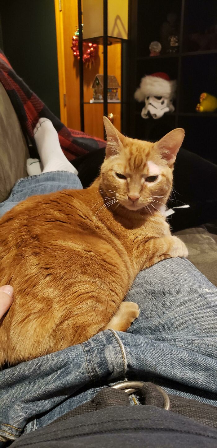 Adopted This Old Man A Week Ago. I Think He's Happy To Have A Home