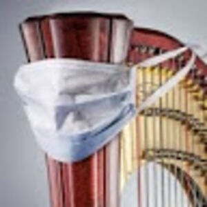 sahanainumpudi avatar