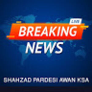 shahzadpardesiawanksa avatar