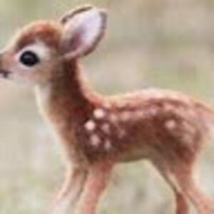 hannahwright_1 avatar