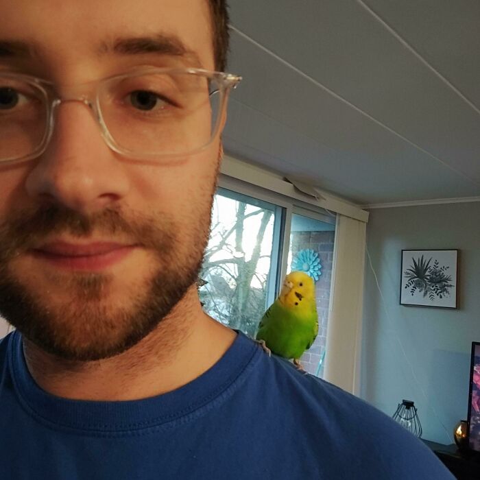 Adopted A 16 Year Old Bird Named Banana Last Week And She Finally Trusts Me Enough To Perch On My Shoulder