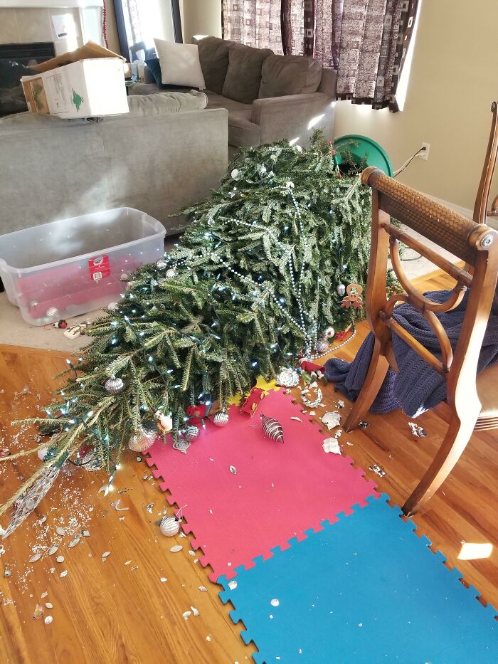 Merry Christmas To The Ground